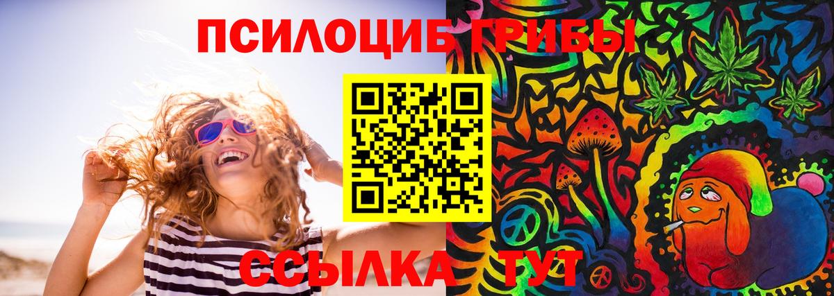 Галлюциногенные грибы мухоморы Минеральные Воды