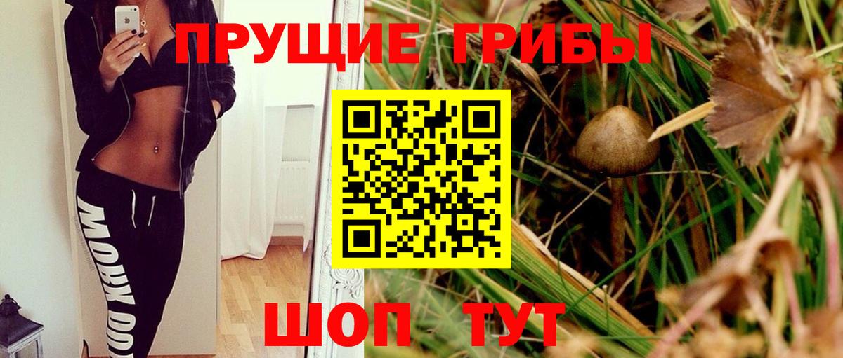 COCAIN Минеральные Воды